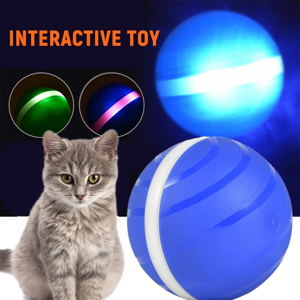 LED Rollball für Haustiere – Bild 5 | LuxeStyle
