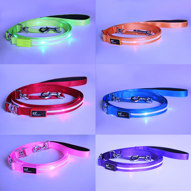 Leuchtende LED-Hundeleine mit USB-Ladefunktion – Bild 6 | LuxeStyle