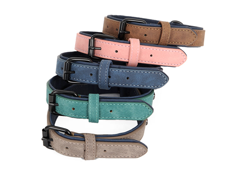 Halsband für Welpen und kleine Hunde – Bild 3 | LuxeStyle