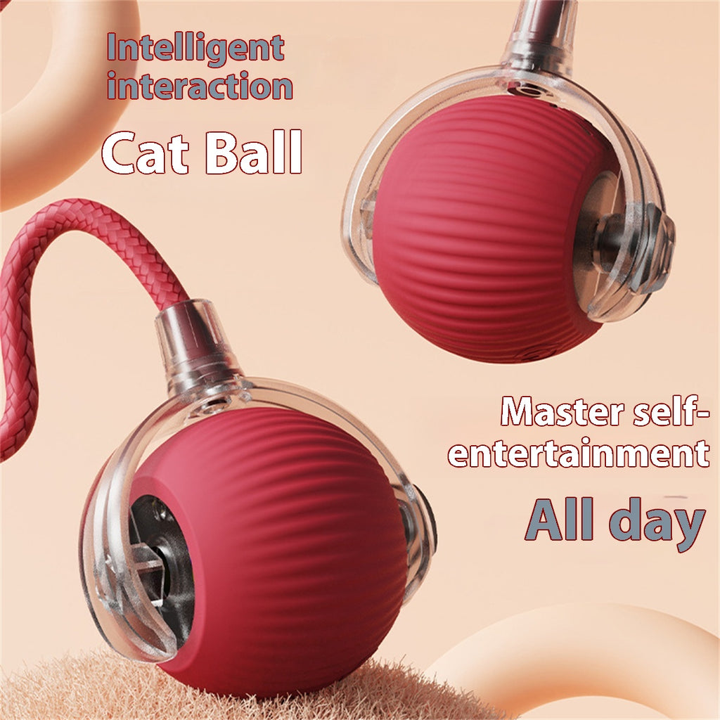 Automatischer Katzenspielball