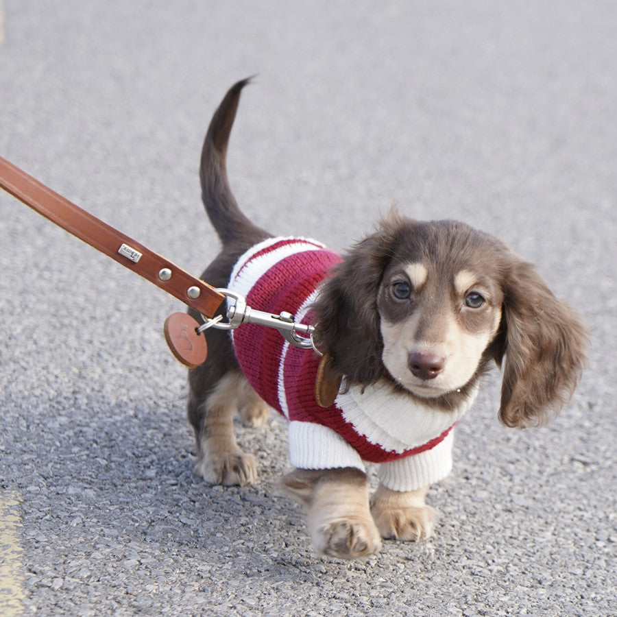 Rotes und weisses Streifenpullover für kleine Hunde – Bild 17 | LuxeStyle