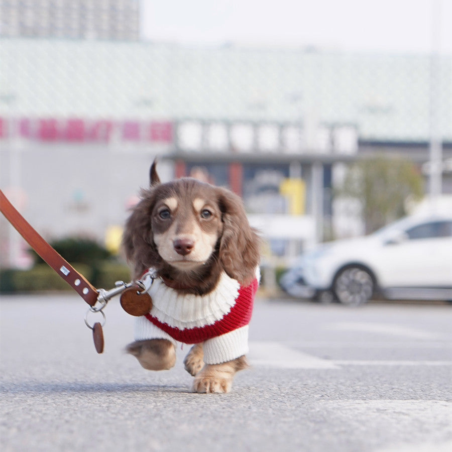Rotes und weisses Streifenpullover für kleine Hunde – Bild 3 | LuxeStyle