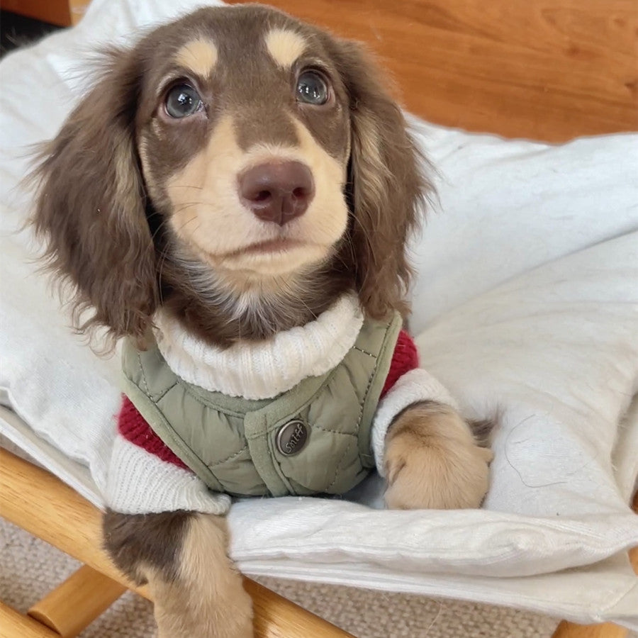 Rotes und weisses Streifenpullover für kleine Hunde – Bild 15 | LuxeStyle