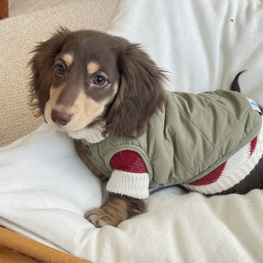 Rotes und weisses Streifenpullover für kleine Hunde – Bild 14 | LuxeStyle