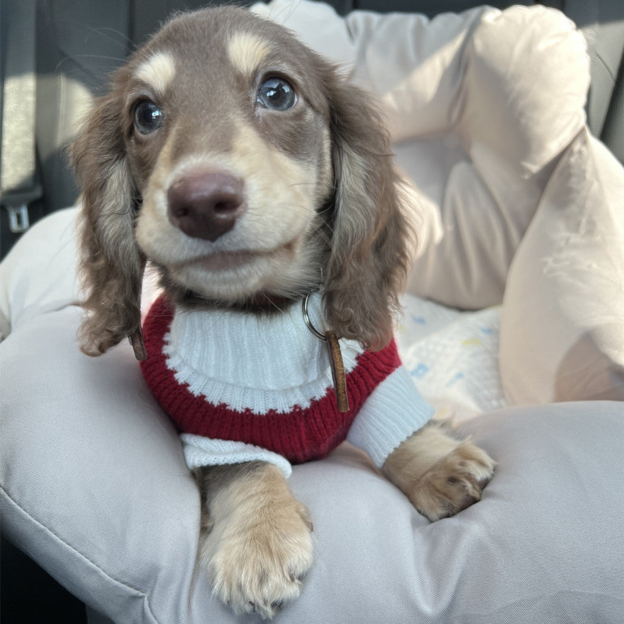 Rotes und weisses Streifenpullover für kleine Hunde – Bild 6 | LuxeStyle