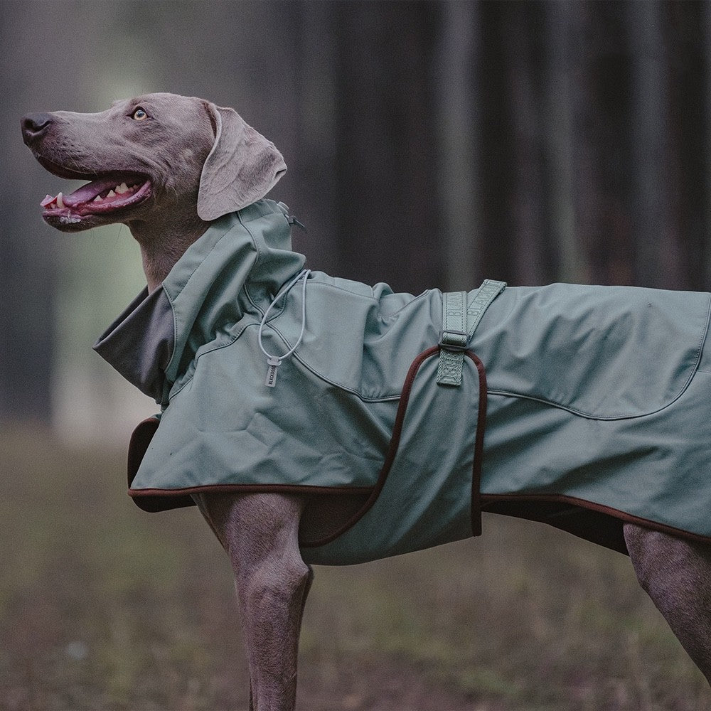 Wasserdichter Wind- und Wärmeschutz-Softshell-Hundemantel