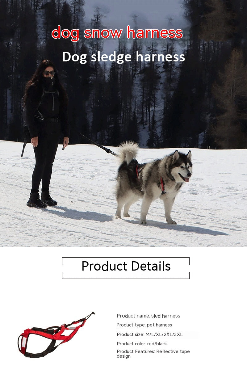 Hundegeschirr für Outdoor-Aktivitäten – Bild 5 | LuxeStyle