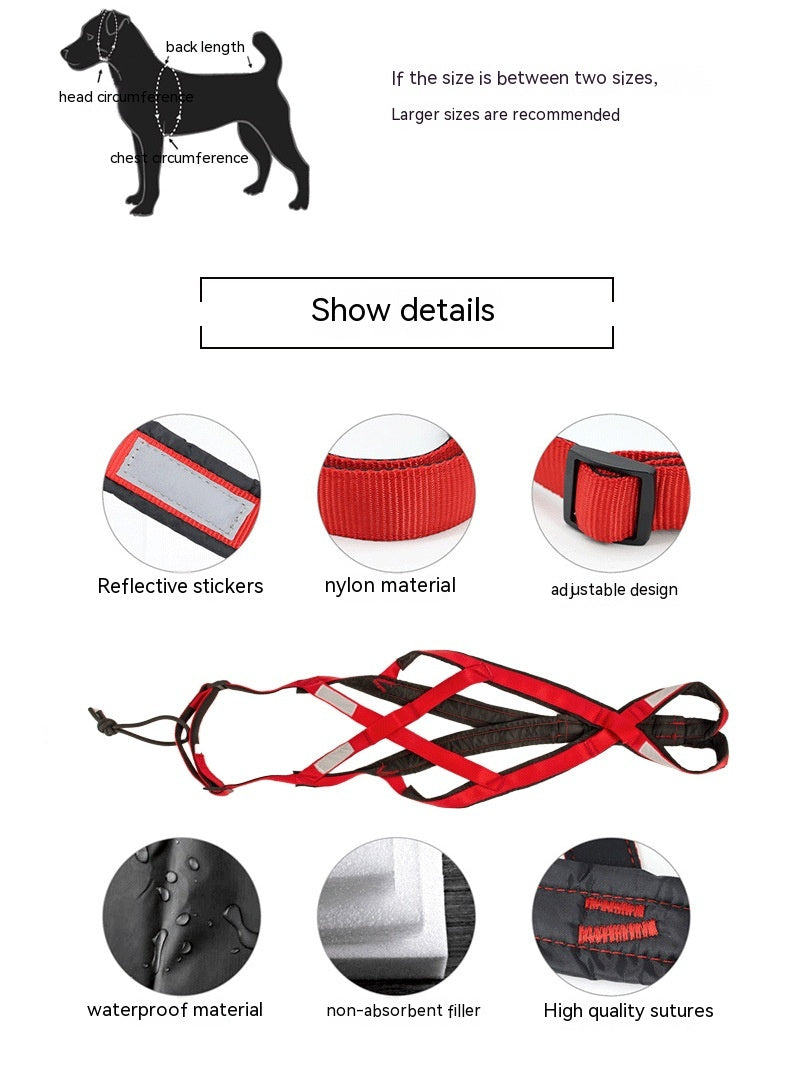 Hundegeschirr für Outdoor-Aktivitäten – Bild 3 | LuxeStyle