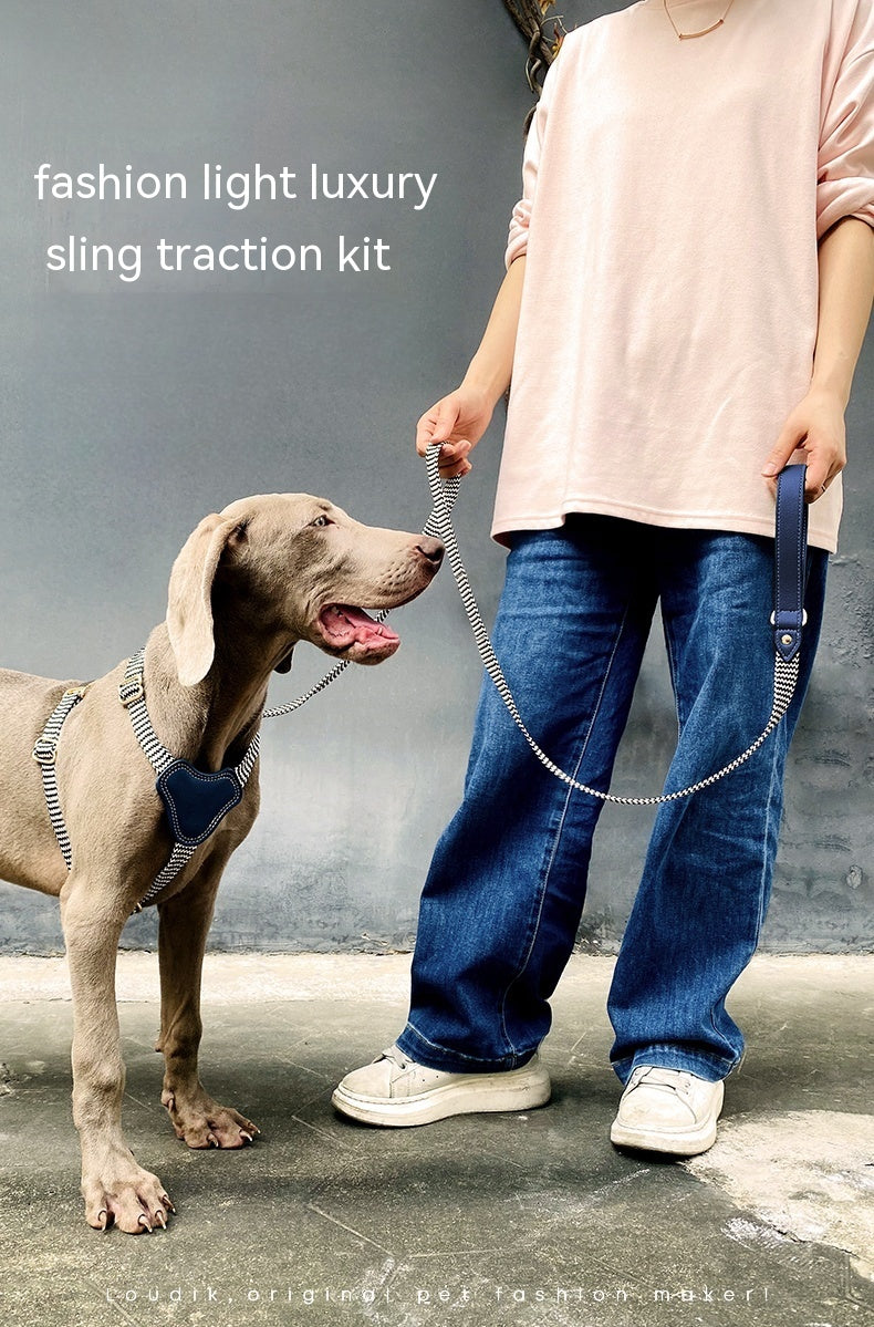 Halsband oder Brustgeschirr mit Leine für Hunde – Bild 12 | LuxeStyle