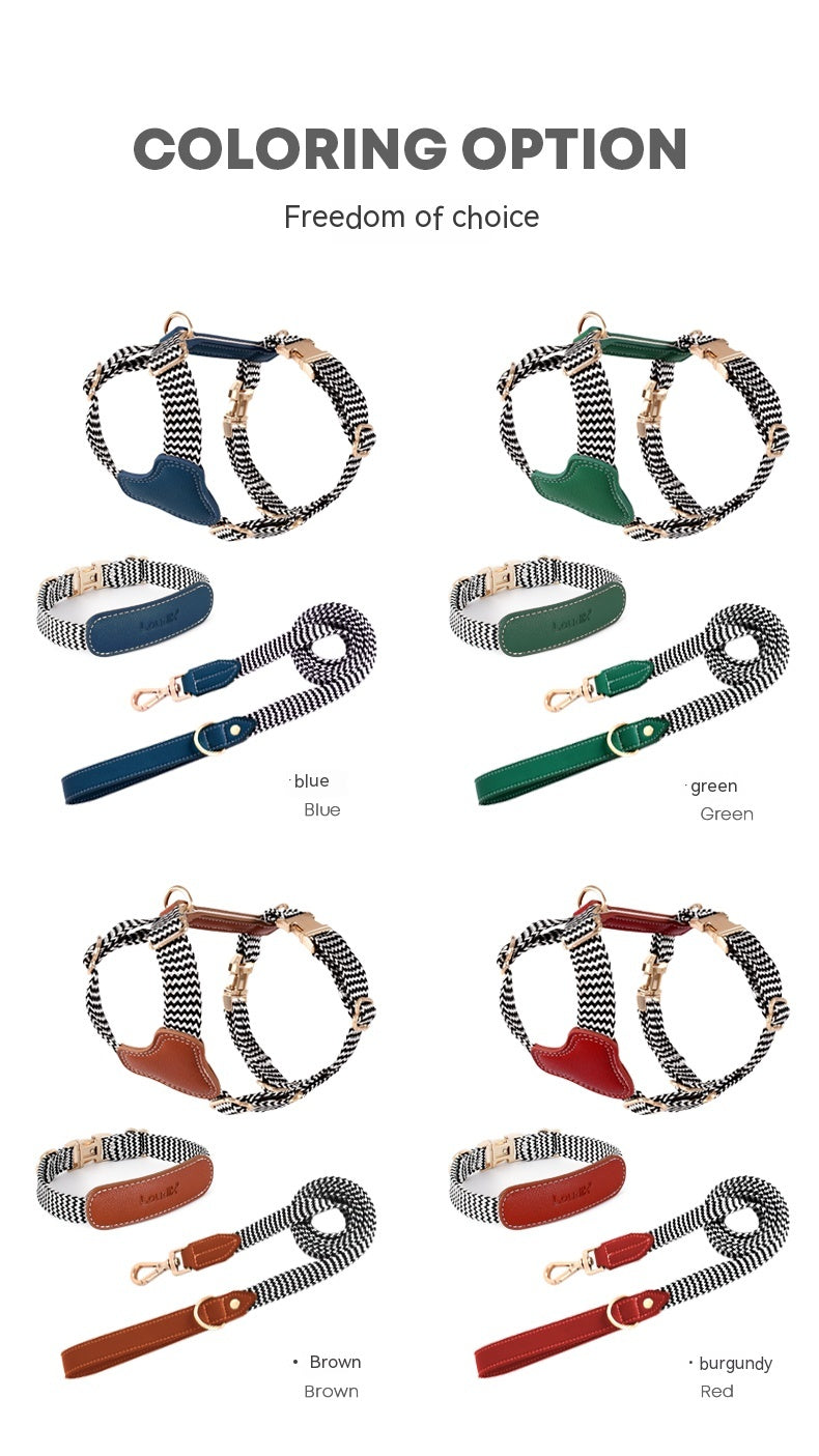 Halsband oder Brustgeschirr mit Leine für Hunde – Bild 8 | LuxeStyle