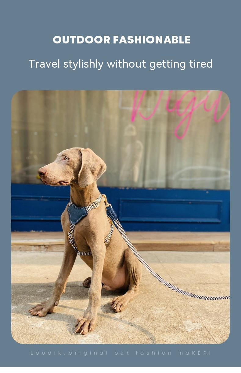 Halsband oder Brustgeschirr mit Leine für Hunde – Bild 20 | LuxeStyle