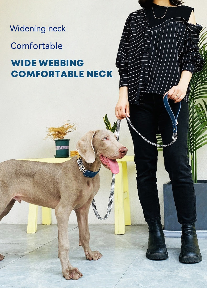 Halsband oder Brustgeschirr mit Leine für Hunde | LuxeStyle
