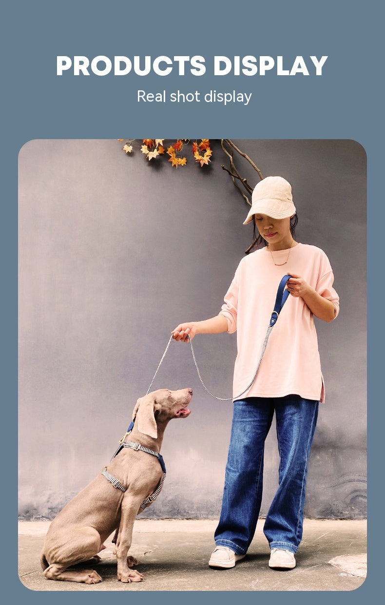 Halsband oder Brustgeschirr mit Leine für Hunde – Bild 3 | LuxeStyle
