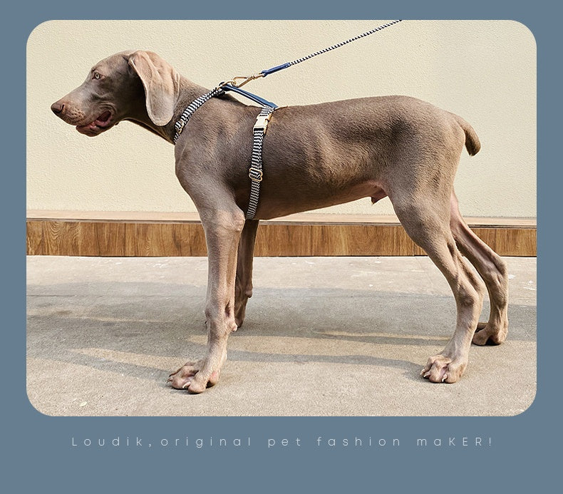Halsband oder Brustgeschirr mit Leine für Hunde – Bild 19 | LuxeStyle