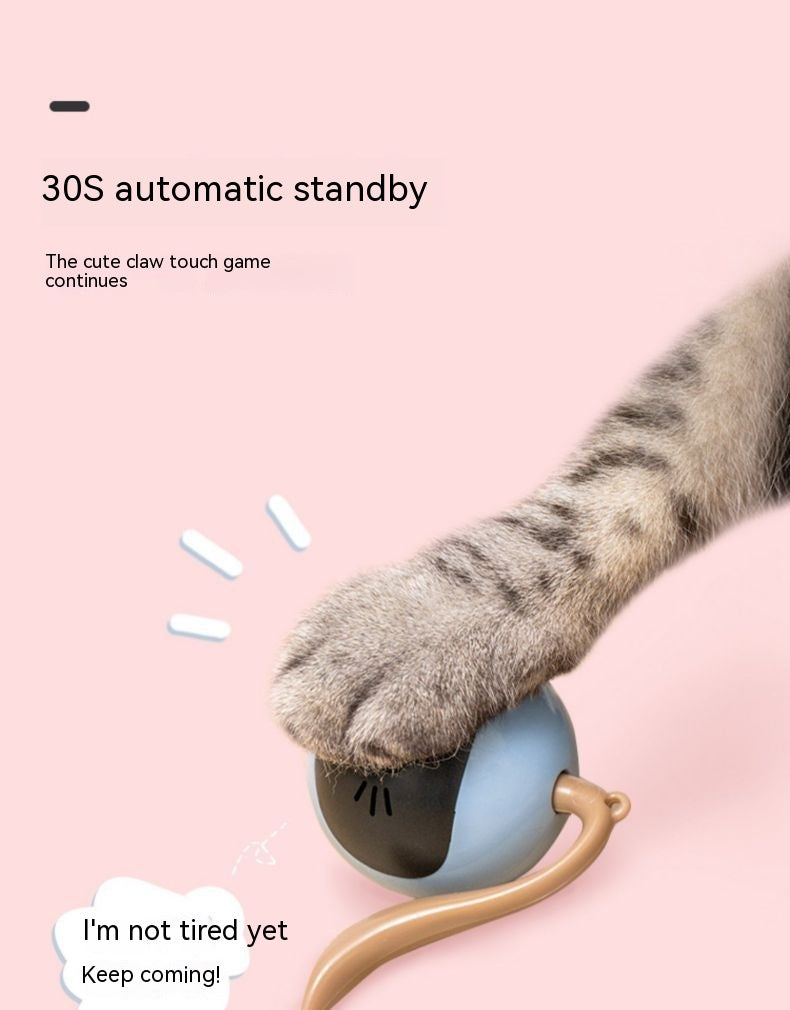 Elektrischer Spielball für Katzen