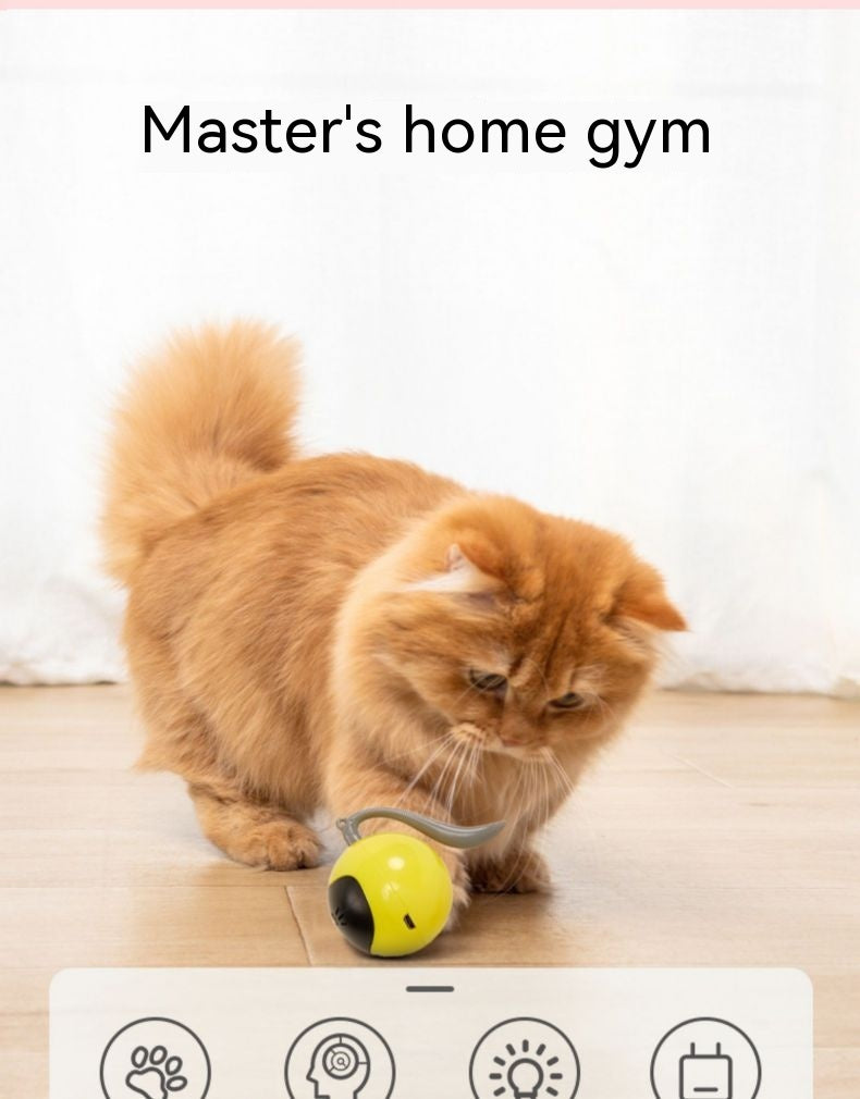 Elektrischer Spielball für Katzen