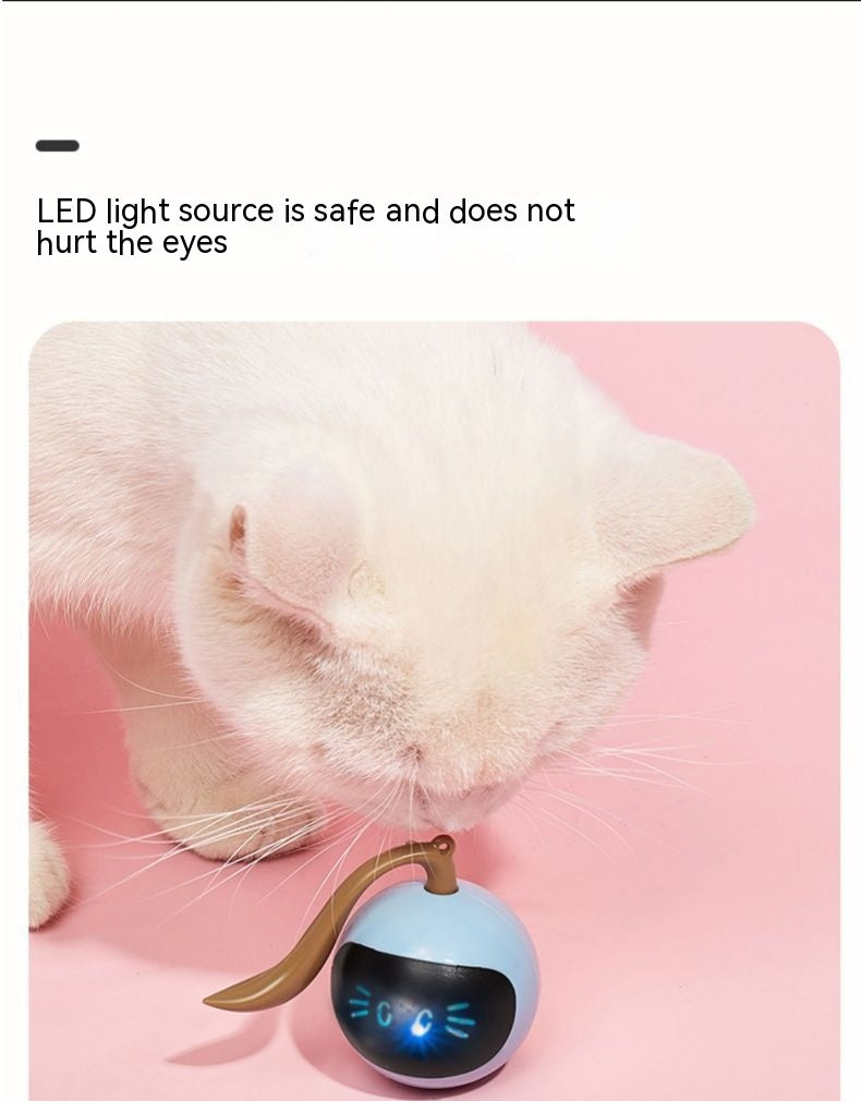 Elektrischer Spielball für Katzen