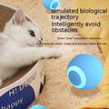 Rollender Katzen-Teaserball