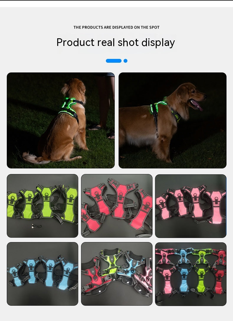 LED-Leuchtweste für Hunde und Katzen – Bild 19 | LuxeStyle