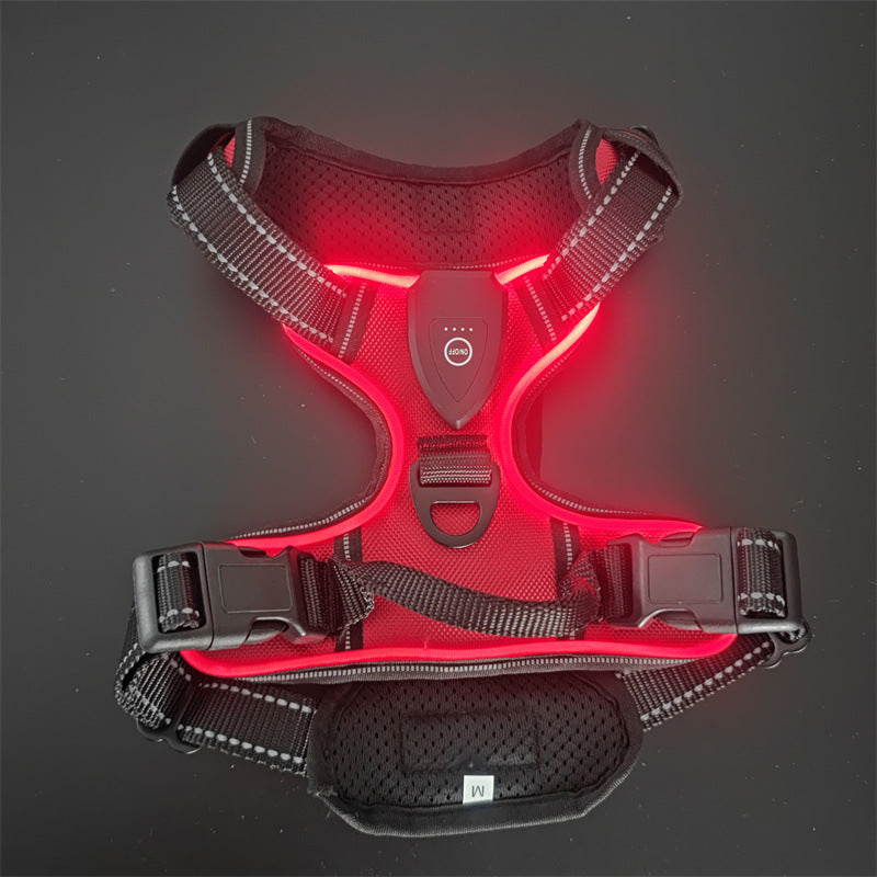LED-Leuchtweste für Hunde und Katzen – Bild 10 | LuxeStyle