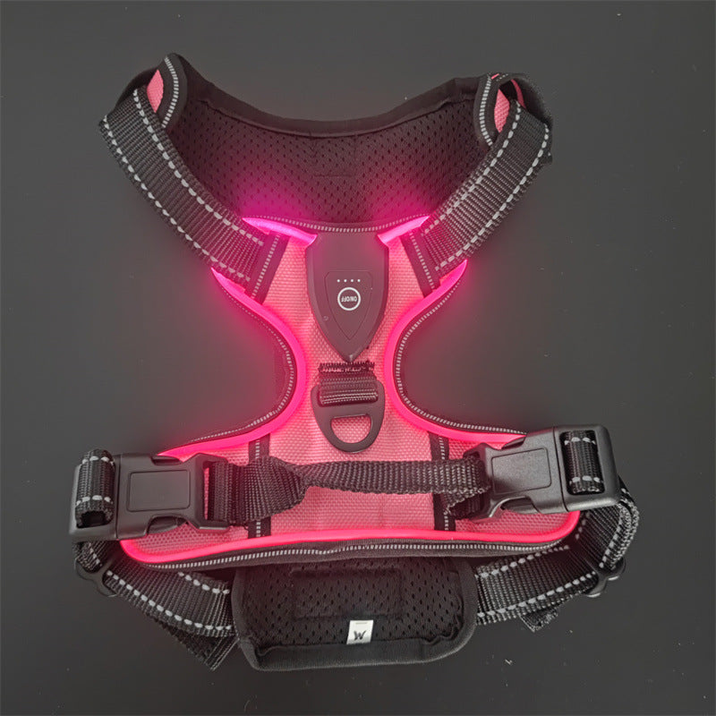 LED-Leuchtweste für Hunde und Katzen – Bild 20 | LuxeStyle