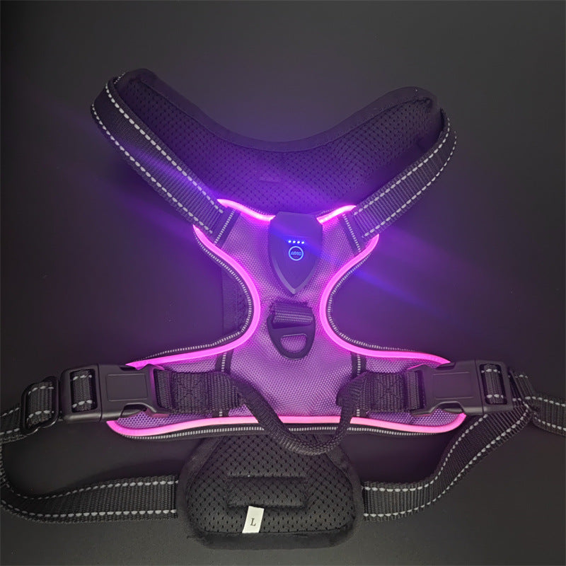 LED-Leuchtweste für Hunde und Katzen – Bild 7 | LuxeStyle