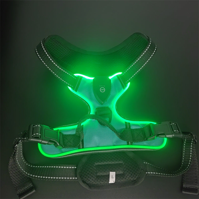 LED-Leuchtweste für Hunde und Katzen – Bild 4 | LuxeStyle