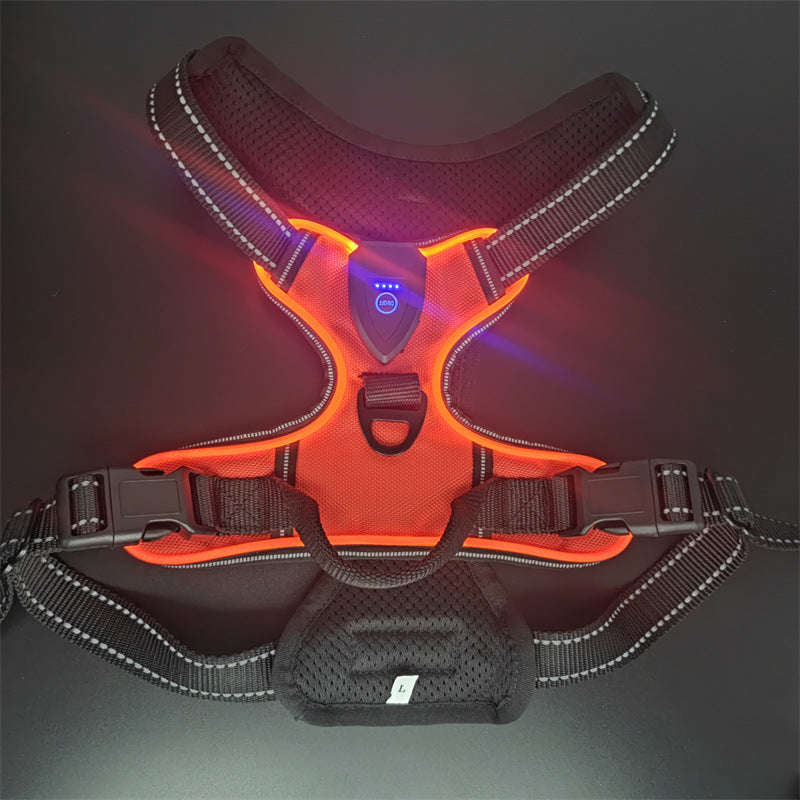 LED-Leuchtweste für Hunde und Katzen – Bild 2 | LuxeStyle