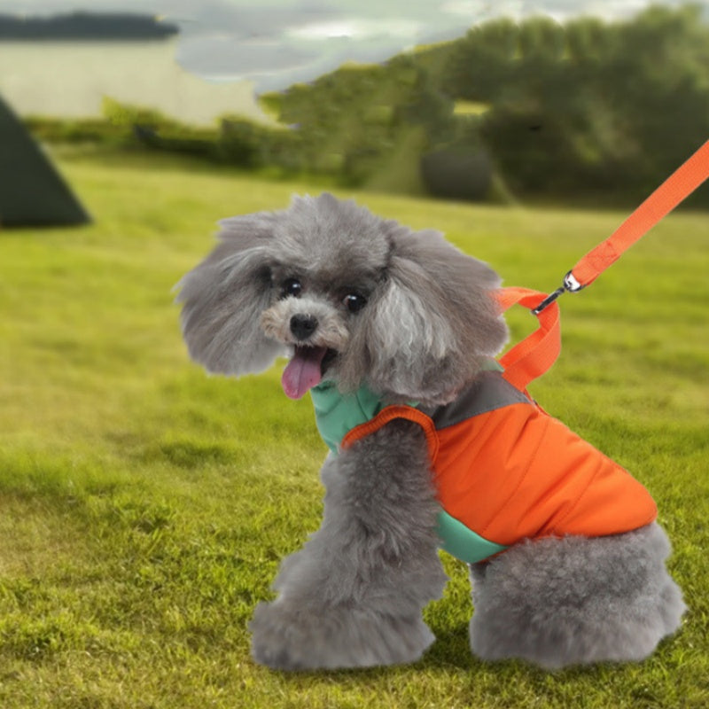 Winter-Hundekleidung