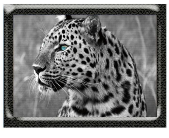 Leopard-Diamantmalerei – Bild 4 | LuxeStyle
