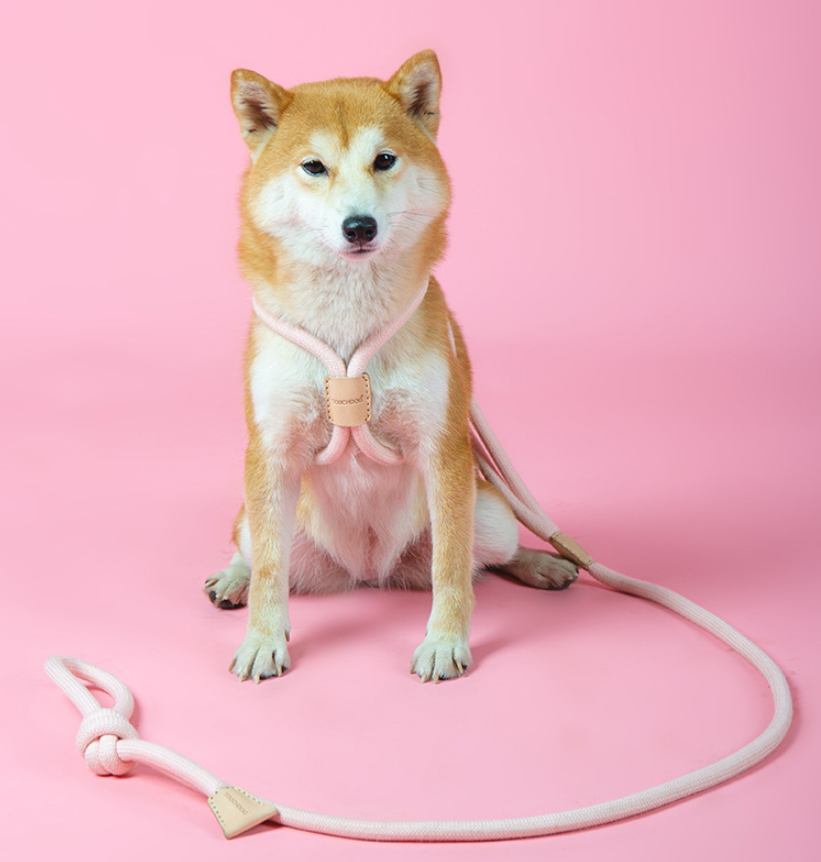 Hunde-Rundseil-Leine – Bild 2 | LuxeStyle