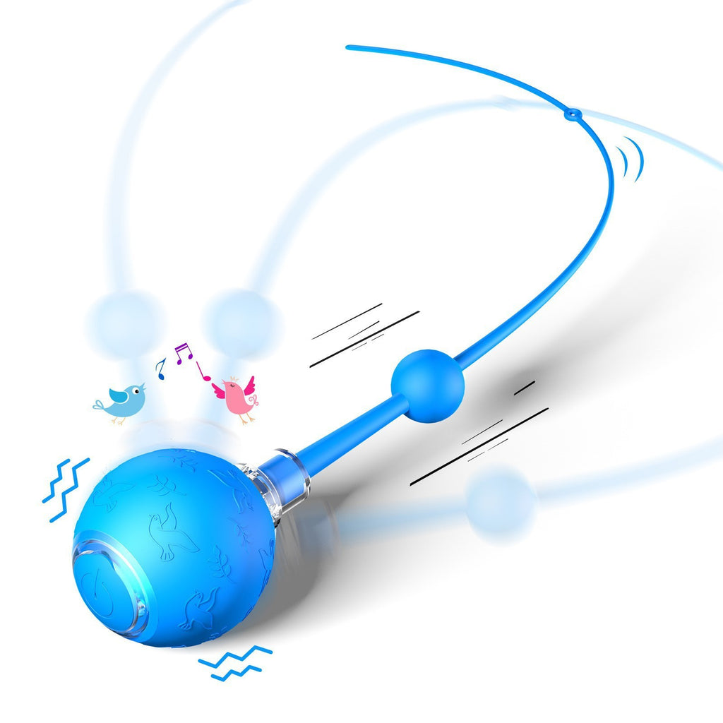 Interaktiver Spielball für Katzen