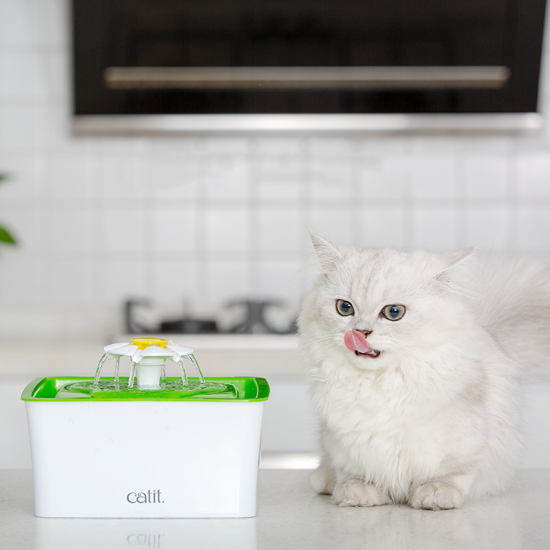 Katzen-Trinkbrunnen mit Filter – Bild 5 | LuxeStyle