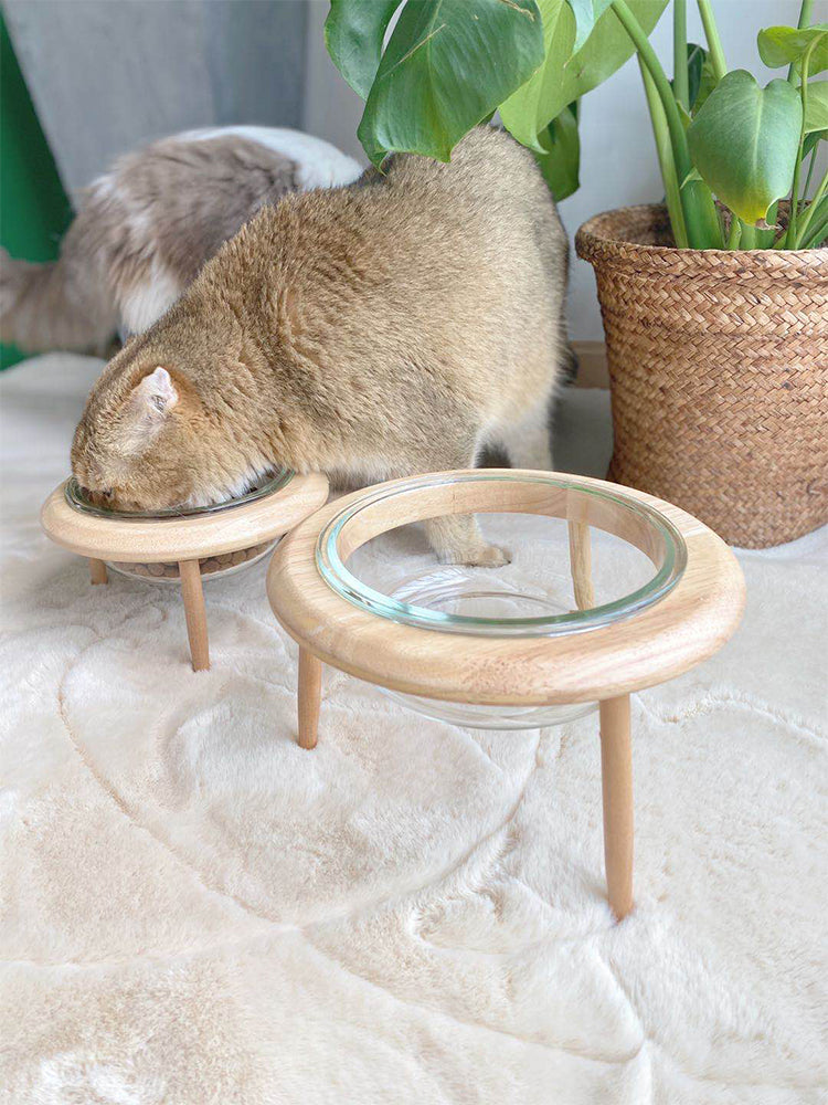 Futter-/Wassernapf aus Glas und Buche | LuxeStyle
