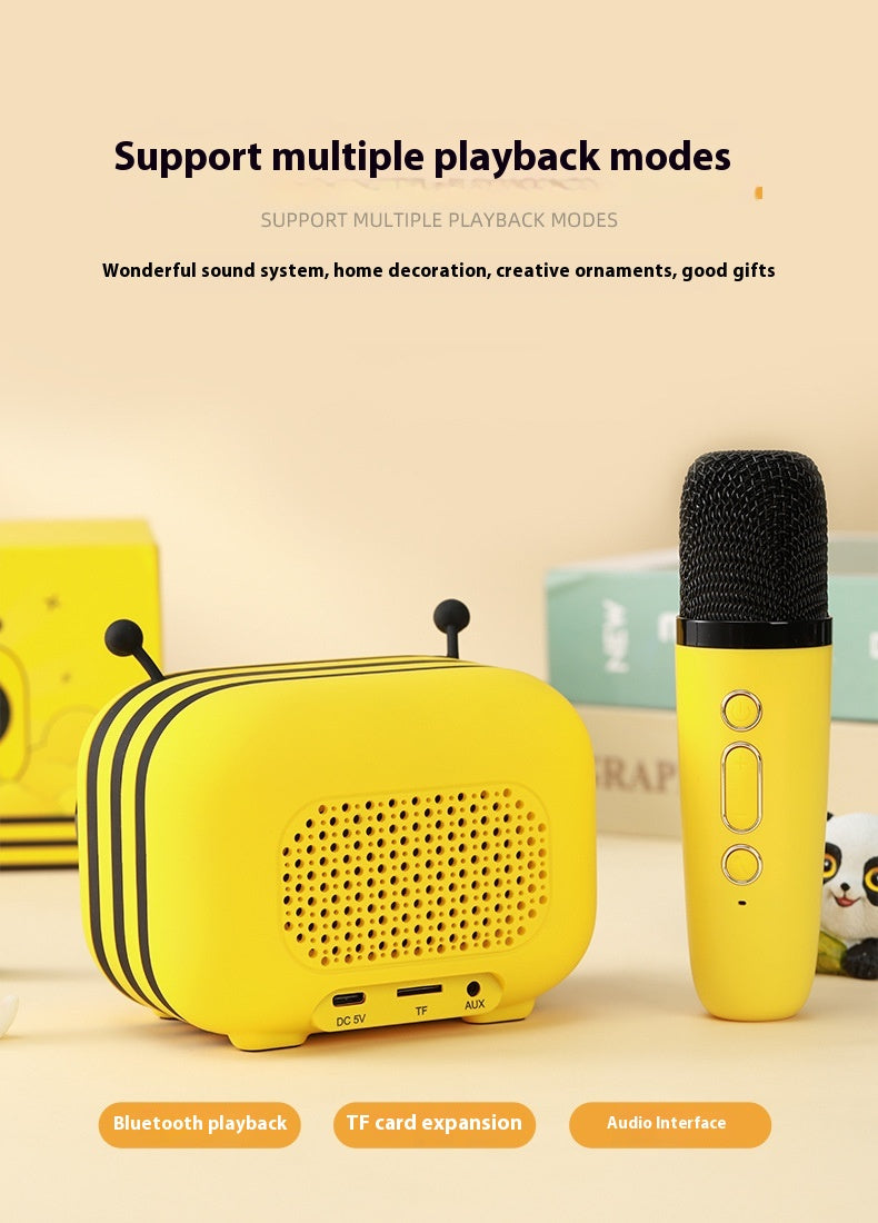 Karaoke Mikrofon & Bluetooth Speaker