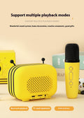 Karaoke Mikrofon & Bluetooth Speaker