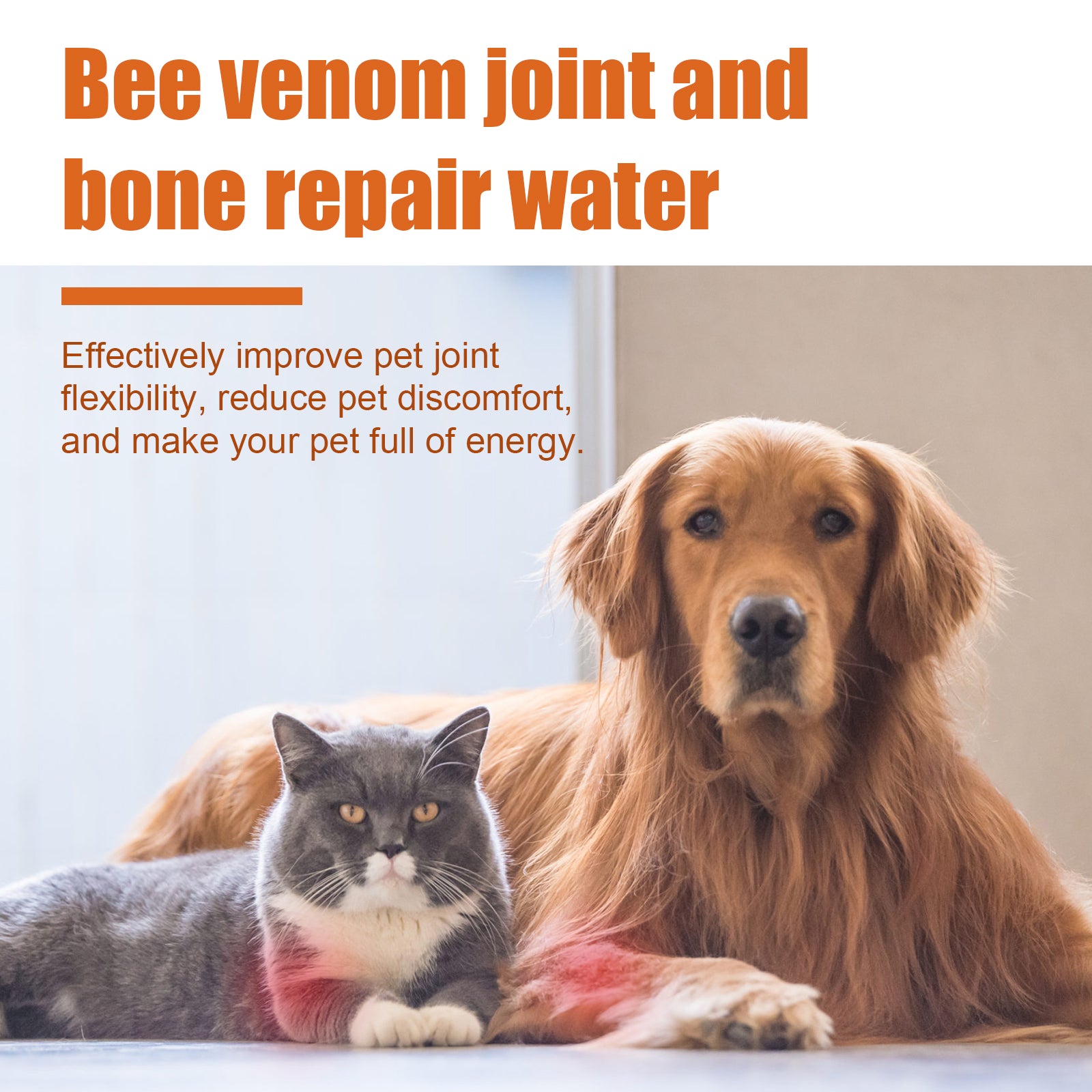 Gelenköl für Hunde & Katzen