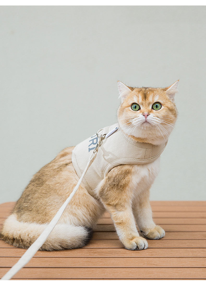 Hundegeschirr-Set aus Webstoff mit Leine – Bild 4 | LuxeStyle