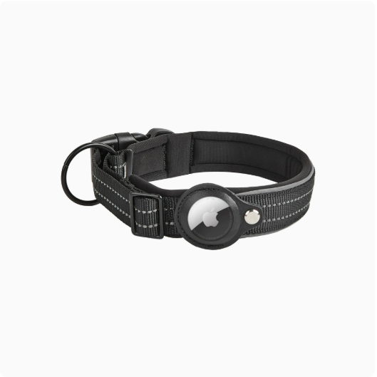Reflektierendes Nylon-Halsband, verstellbar