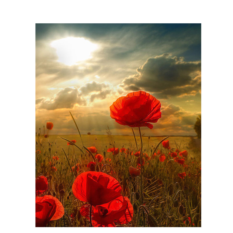 Malen nach Zahlen – Rote Blumen – Bild 2 | LuxeStyle