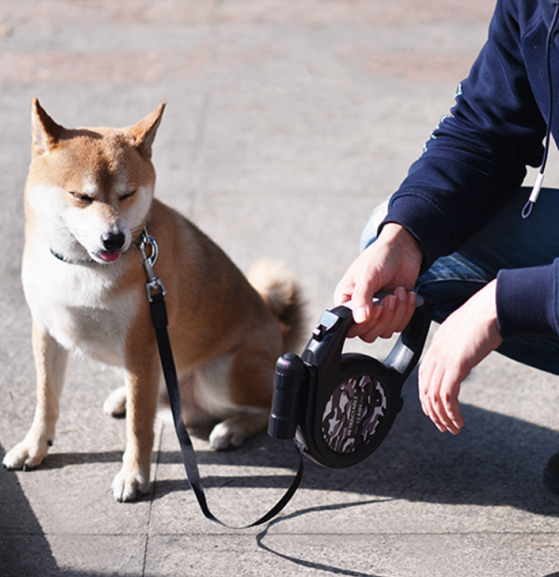 Automatisches, einziehbares Hundegeschirr – Bild 2 | LuxeStyle