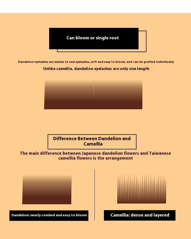 Falsche Wimpern "Deep Coffee"