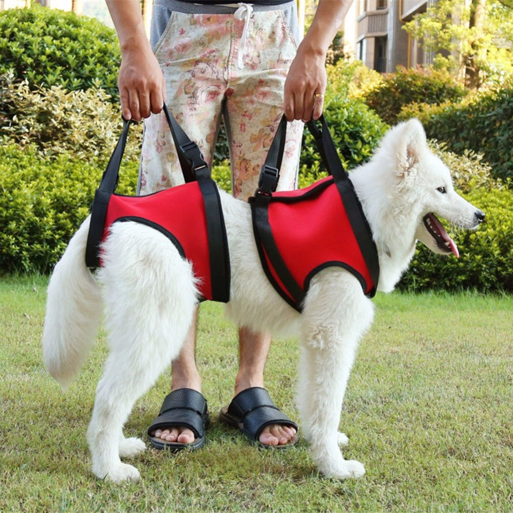 Einzelarmband zur Schulterhebelhilfe für Hunde – Bild 3 | LuxeStyle