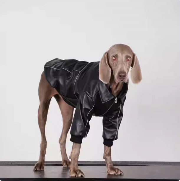 Lederjacke für mittelgrosse bis grosse Hunde