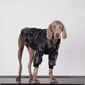 Lederjacke für mittelgrosse bis grosse Hunde – Bild 1 | LuxeStyle