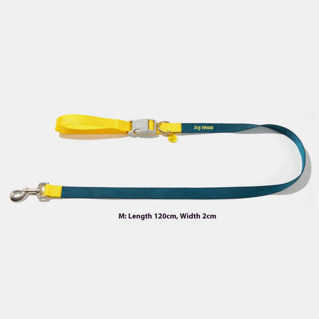 Halsband und Leine Set für Hunde – Bild 4 | LuxeStyle