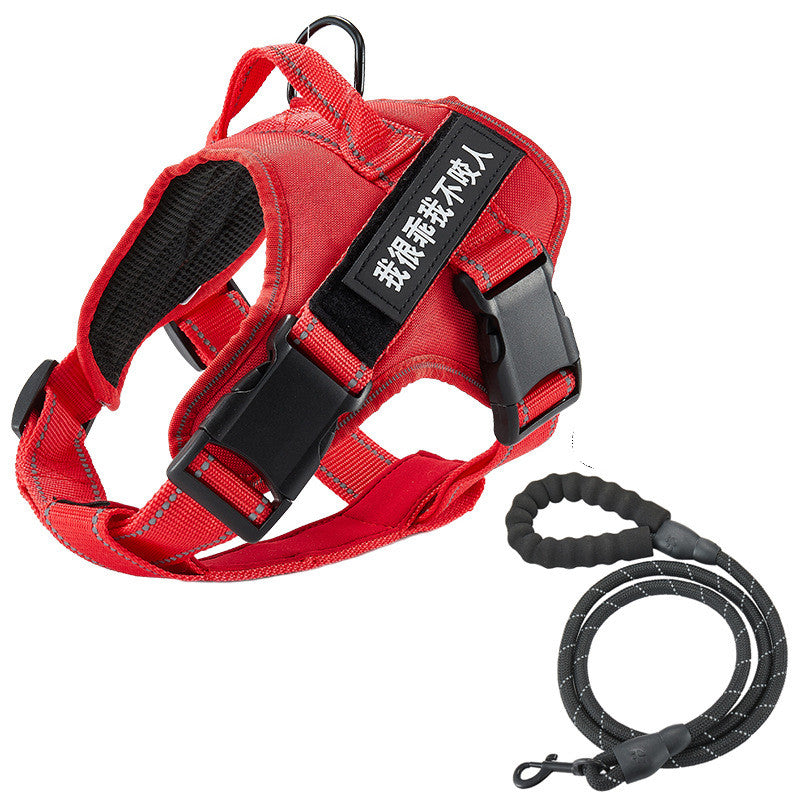 Hundehalsband mit Brustgurt und Leine | LuxeStyle