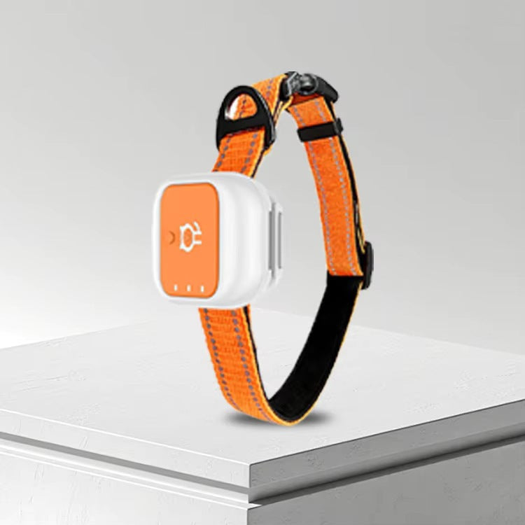 GPS-Tracker für Haustiere