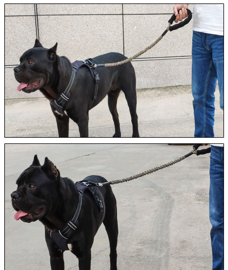 Elastische Hunde-Leine mit Ruckdämpfer – Bild 6 | LuxeStyle