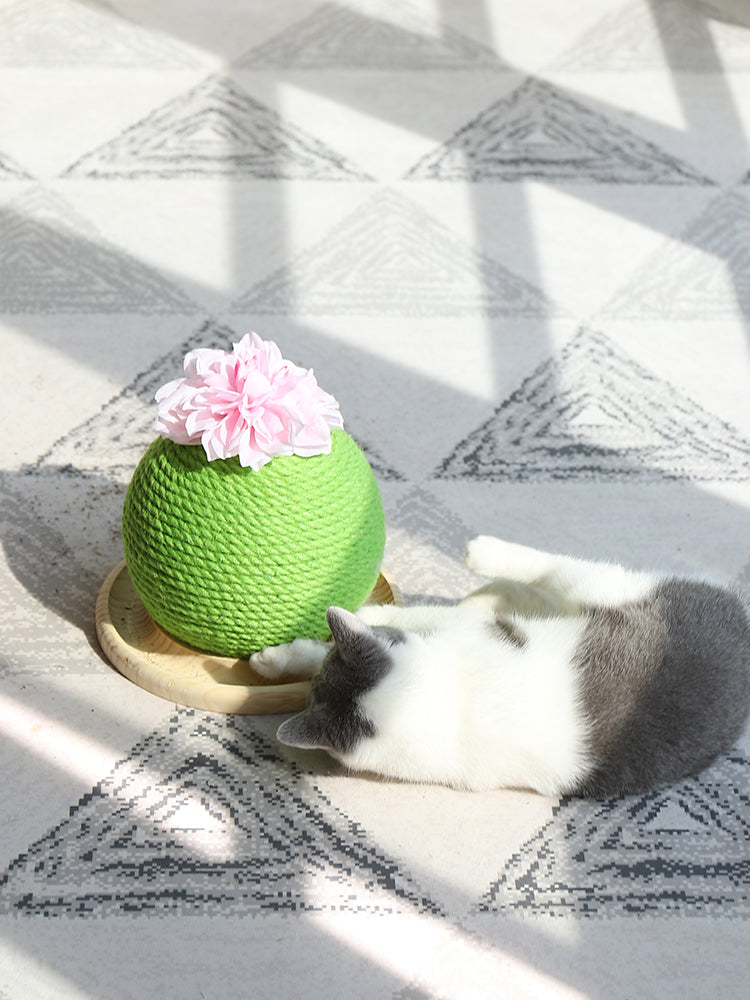 Kaktus Katzen-Spielzeug mit Krallenpflege – Bild 5 | LuxeStyle